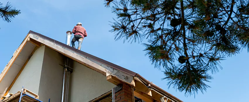 Birds Removal Contractors from Chimney in Moraga, CA